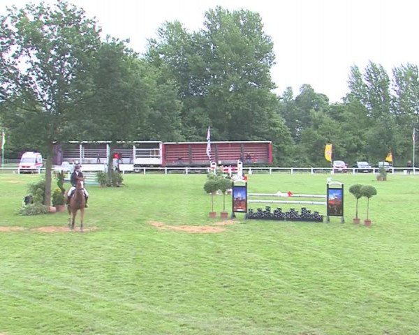 Reitturnier Marne 2016