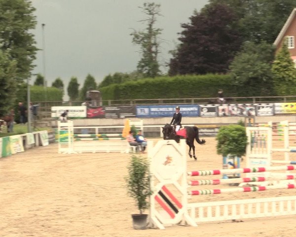 Reitturnier Melle-Ostenfelde 2016