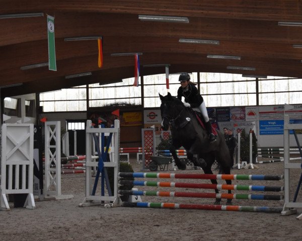 jumper Zorro 318 (Oldenburg, 2006, from Zatinus)