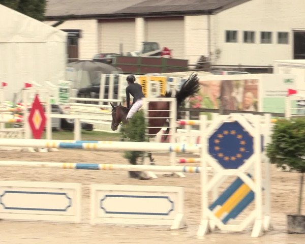 Reitturnier Melle-Ostenfelde 2016