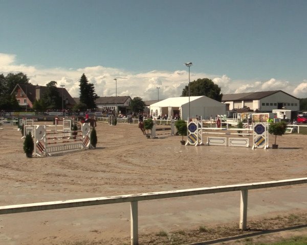 Reitturnier Melle-Ostenfelde 2016