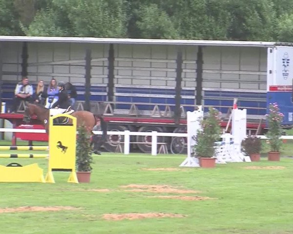 Reitturnier Marne 2016