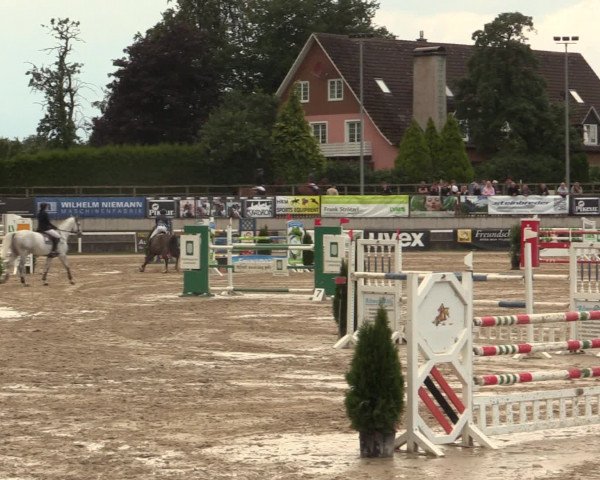 Reitturnier Melle-Ostenfelde 2016