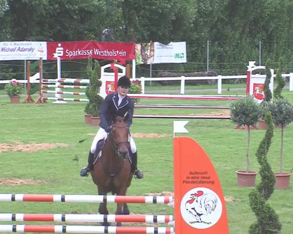 Reitturnier Marne 2016