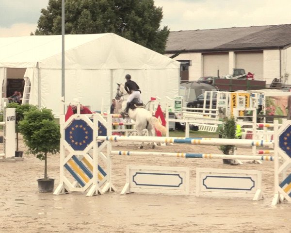 Reitturnier Melle-Ostenfelde 2016