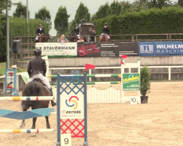 Reitturnier Melle-Ostenfelde 2016