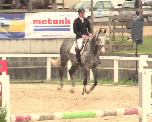 Reitturnier Melle-Ostenfelde 2016