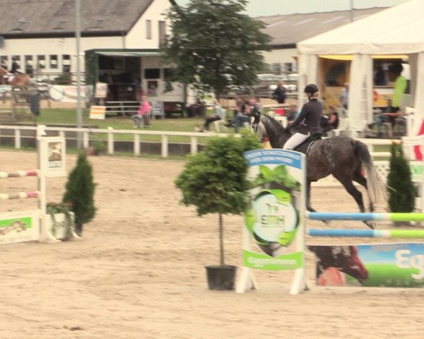 Reitturnier Melle-Ostenfelde 2016
