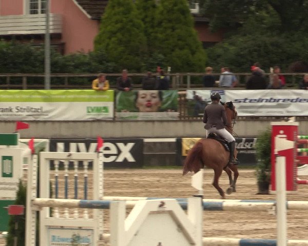 Reitturnier Melle-Ostenfelde 2016