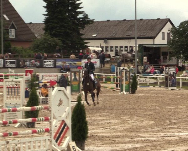 Reitturnier Melle-Ostenfelde 2016