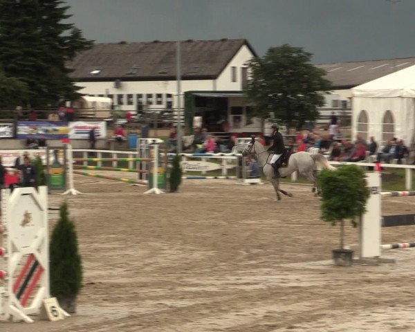 Reitturnier Melle-Ostenfelde 2016