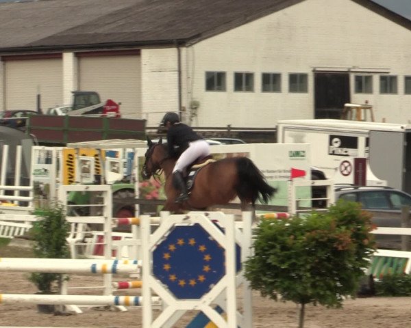 Reitturnier Melle-Ostenfelde 2016