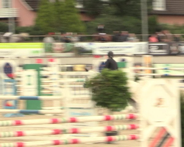Reitturnier Melle-Ostenfelde 2016