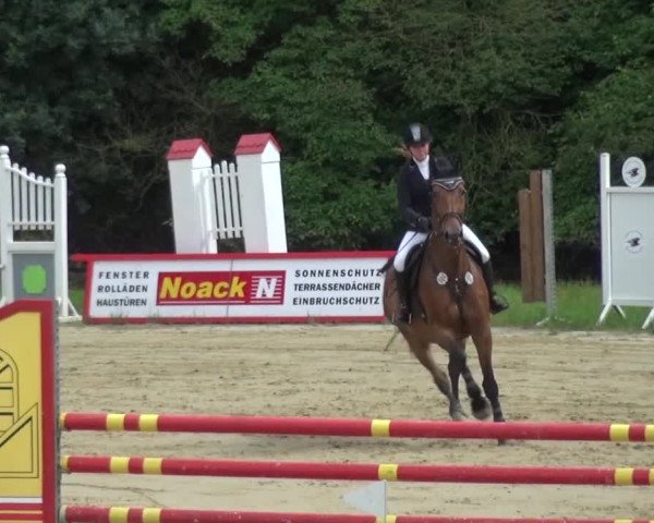 Reitturnier Viersen-Dülken 2016