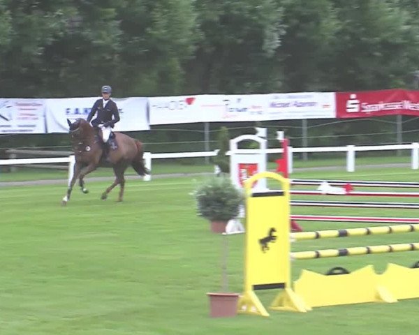 Reitturnier Marne 2016