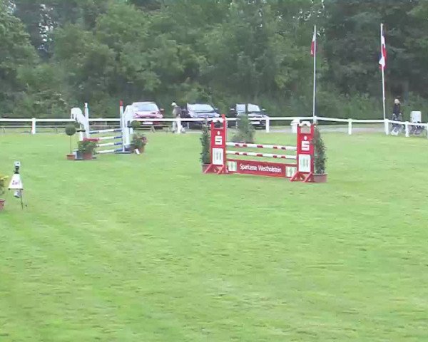 Reitturnier Marne 2016