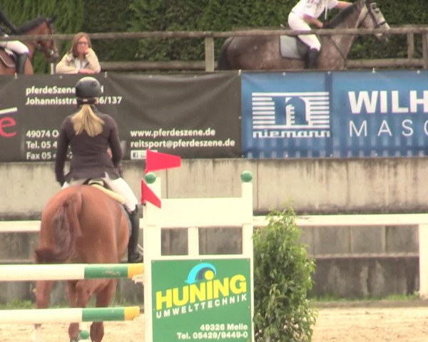 Reitturnier Melle-Ostenfelde 2016