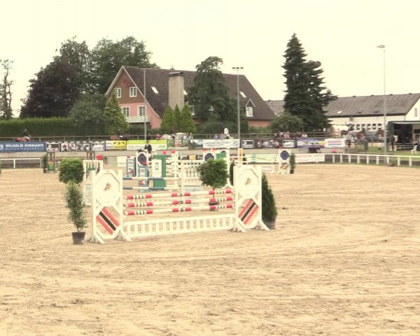 Reitturnier Melle-Ostenfelde 2016