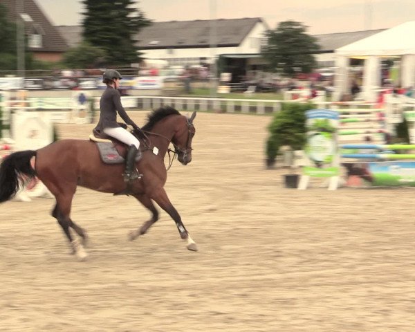 Reitturnier Melle-Ostenfelde 2016