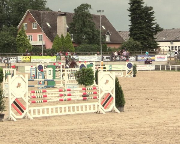 Reitturnier Melle-Ostenfelde 2016