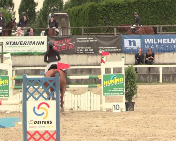 Reitturnier Melle-Ostenfelde 2016