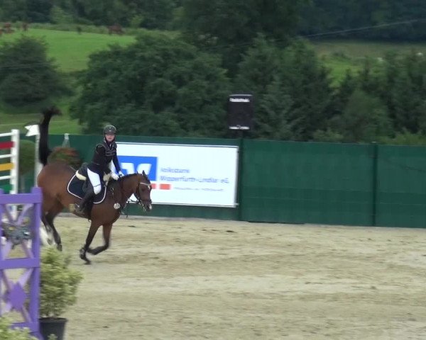 Reitturnier Lindlar-Süttenbach 2016