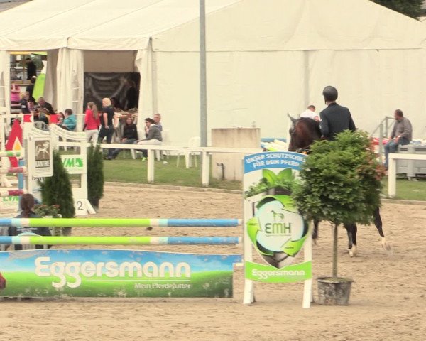 Reitturnier Melle-Ostenfelde 2016
