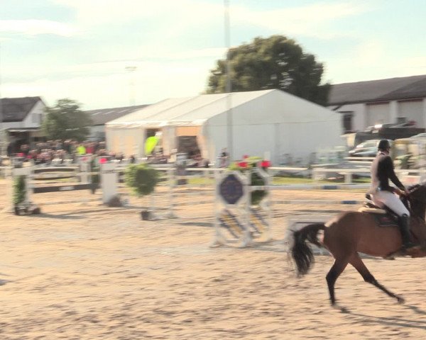 Reitturnier Melle-Ostenfelde 2016