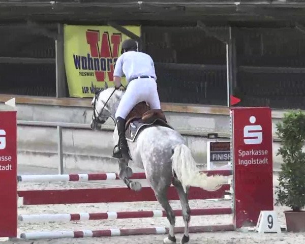 Reitturnier Ingolstadt-Hagau 2016