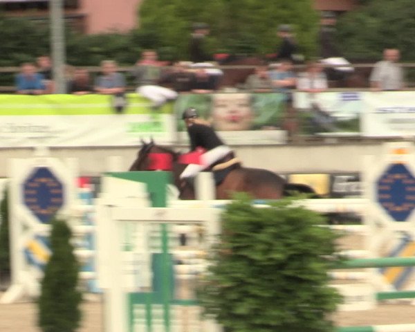 Reitturnier Melle-Ostenfelde 2016