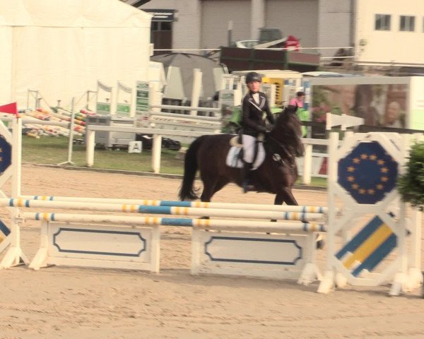 Reitturnier Melle-Ostenfelde 2016