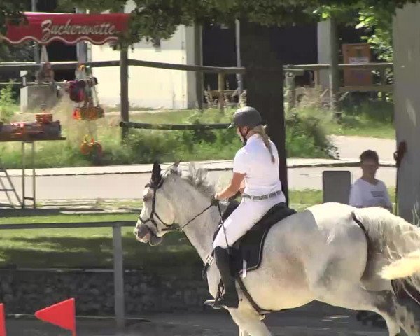 Reitturnier Ingolstadt-Hagau 2016