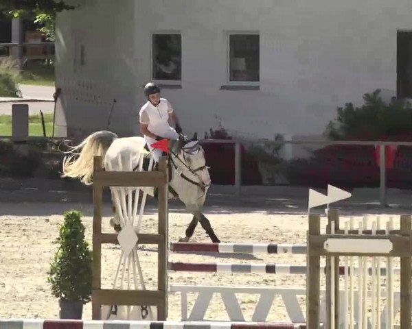 Reitturnier Ingolstadt-Hagau 2016