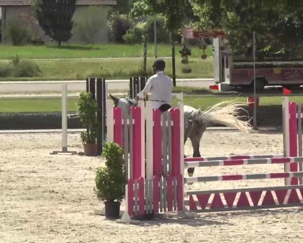 Reitturnier Ingolstadt-Hagau 2016