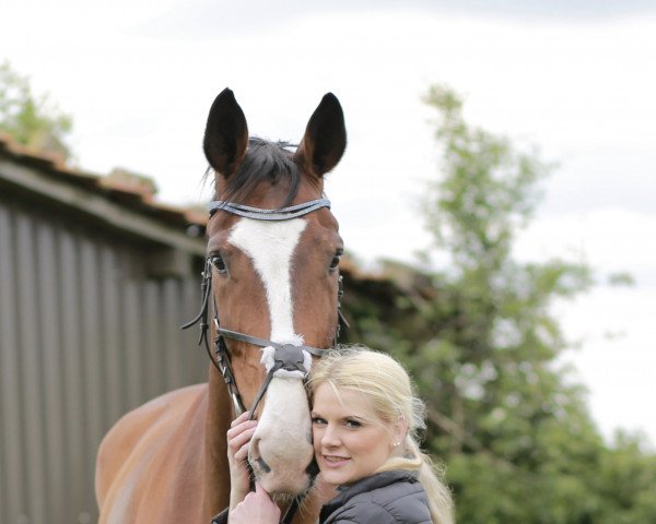 jumper Shining Star 21 (Westphalian, 2010, from Show Star)
