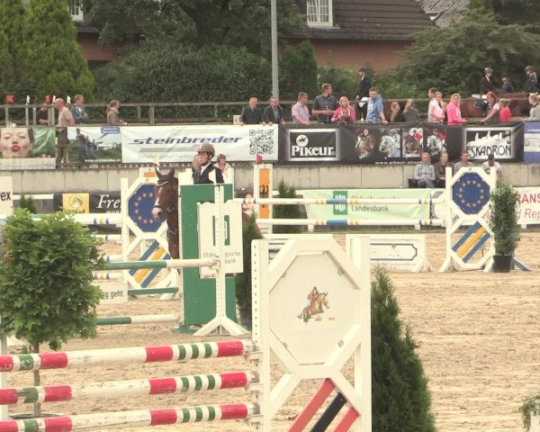 Reitturnier Melle-Ostenfelde 2016