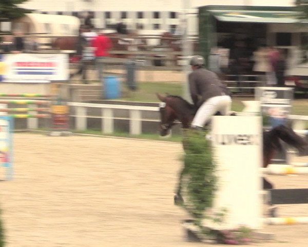 Reitturnier Melle-Ostenfelde 2016