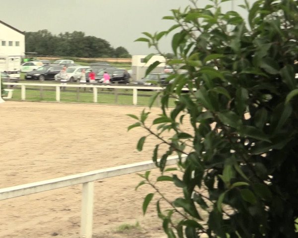 Reitturnier Melle-Ostenfelde 2016