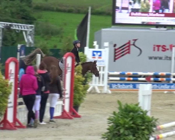 Reitturnier Lindlar-Süttenbach 2016