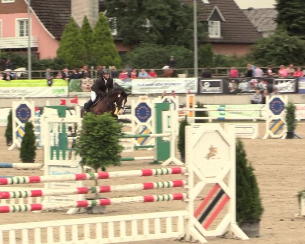 Reitturnier Melle-Ostenfelde 2016