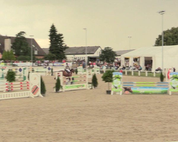 Reitturnier Melle-Ostenfelde 2016