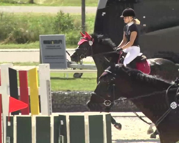 Reitturnier Ingolstadt-Hagau 2016