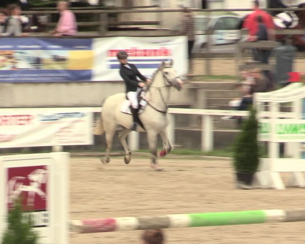 Reitturnier Melle-Ostenfelde 2016