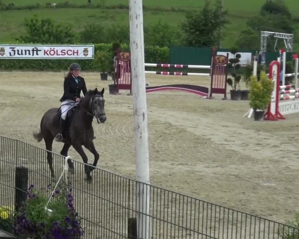 Reitturnier Lindlar-Süttenbach 2016