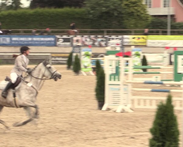 Reitturnier Melle-Ostenfelde 2016