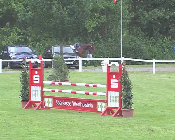 Reitturnier Marne 2016