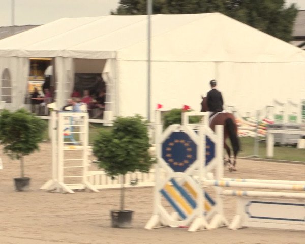 Reitturnier Melle-Ostenfelde 2016