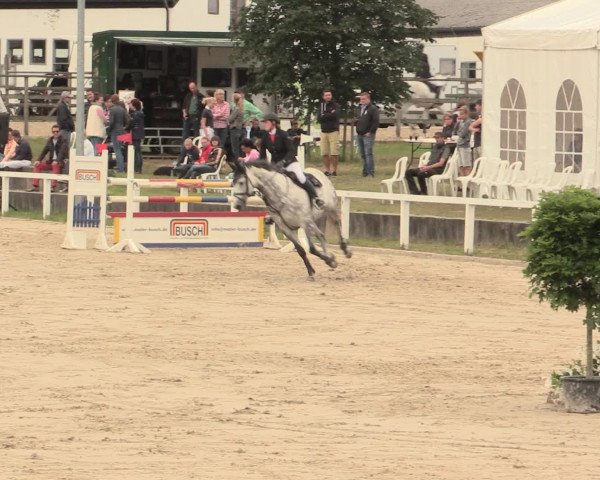 Reitturnier Melle-Ostenfelde 2016