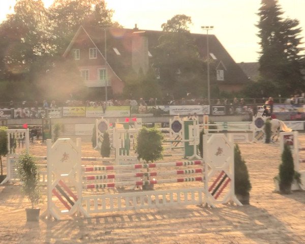 Reitturnier Melle-Ostenfelde 2016