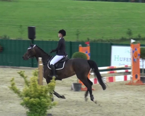 Reitturnier Lindlar-Süttenbach 2016